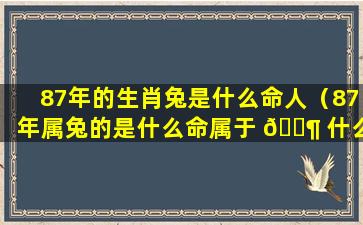 87年的生肖兔是什么命人（87年属兔的是什么命属于 🐶 什么）